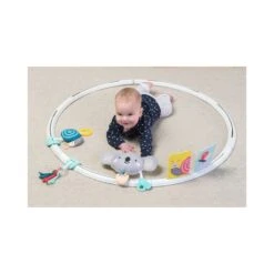 TAF Toys Cerceau D'activités évolutives