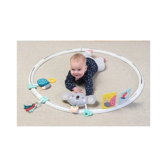 TAF Toys Cerceau D'activités évolutives 1 TAF Toys Cerceau D'activités évolutives
