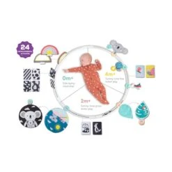 TAF Toys Cerceau D'activités évolutives 9 TAF Toys Cerceau D'activités évolutives -Optimal Jouet Magasin 0605566125558 0605566125558 4BaseMedia 550Wx550H