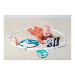 TAF Toys Cerceau D'activités évolutives 10 TAF Toys Cerceau D'activités évolutives -Optimal Jouet Magasin 0605566125558 0605566125558 5BaseMedia 550Wx550H