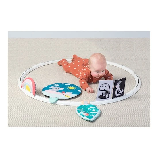 TAF Toys Cerceau D'activités évolutives 5 TAF Toys Cerceau D'activités évolutives – Image 5