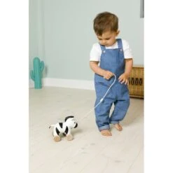 Jouet à Tirer -Optimal Jouet Magasin 3700552303532 3700552303532 6BaseMedia 550Wx550H