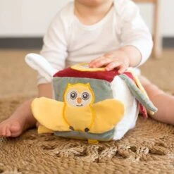 Cube D'éveil Cache Cache En Fôret 7 Cube D'éveil Cache Cache En Fôret -Optimal Jouet Magasin 3701322712387 3701322712387 4BaseMedia 550Wx550H