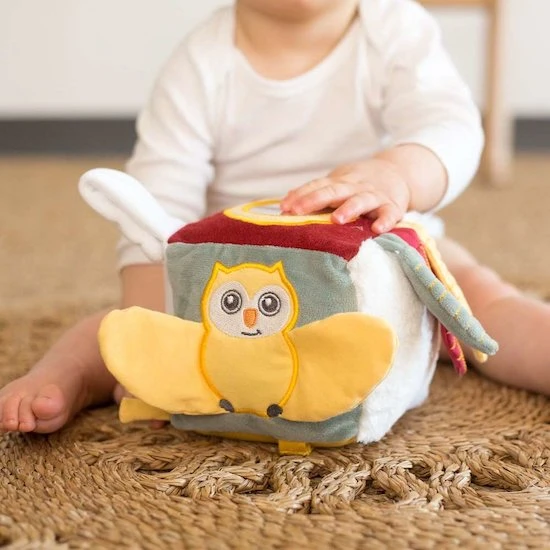 Cube D'éveil Cache Cache En Fôret 4 Cube D'éveil Cache Cache En Fôret – Image 4