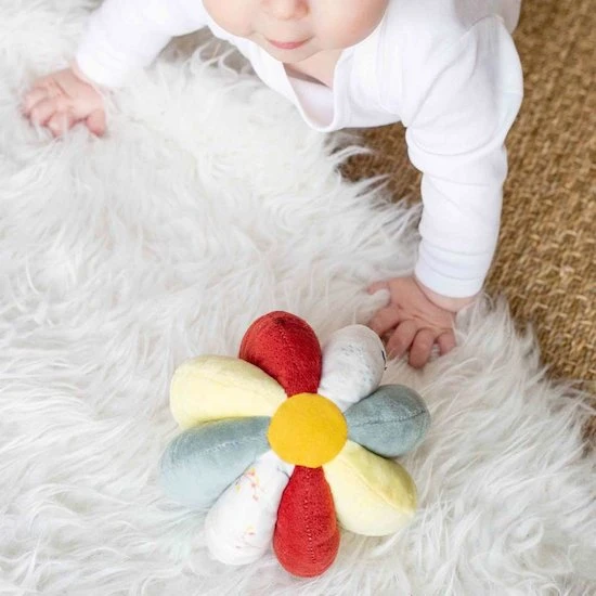 Balle Sensorielle Cache Cache En Fôret 3 Balle Sensorielle Cache Cache En Fôret – Image 3