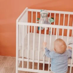 Grand Miroir D'éveil Chillos Le Paresseux 5 Grand Miroir D'éveil Chillos Le Paresseux -Optimal Jouet Magasin 4895242700414 4895242700414 3BaseMedia 550Wx550H