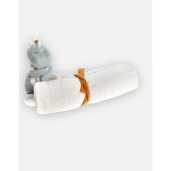 Première Couverture Dino Stegi Tiga & Stegi