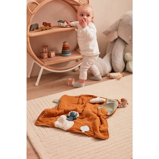 Première Couverture Dino Stegi Tiga & Stegi 11 Première Couverture Dino Stegi Tiga & Stegi – Image 11