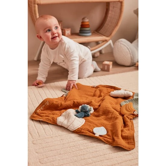 Première Couverture Dino Stegi Tiga & Stegi 12 Première Couverture Dino Stegi Tiga & Stegi – Image 12