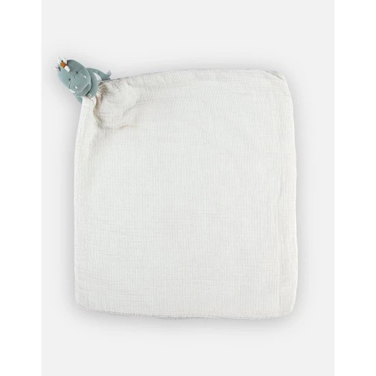 Première Couverture Dino Stegi Tiga & Stegi 3 Première Couverture Dino Stegi Tiga & Stegi – Image 3