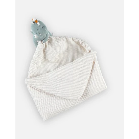 Première Couverture Dino Stegi Tiga & Stegi 5 Première Couverture Dino Stegi Tiga & Stegi – Image 5