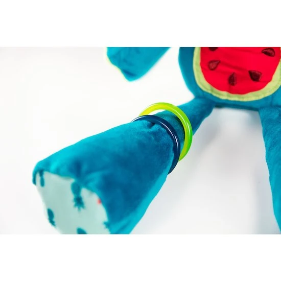 Lilliputiens Marius Calin D'activités 7 Lilliputiens Marius Calin D'activités – Image 7