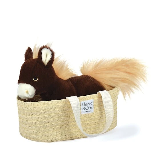 Cheval Alezan Les Petits Nomades 1 Cheval Alezan Les Petits Nomades