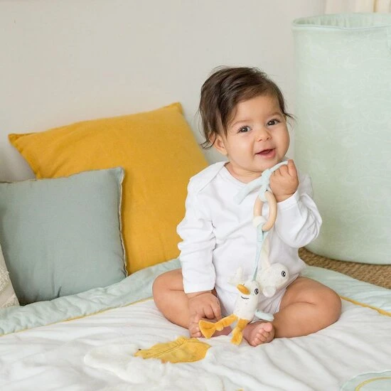 Anneau D'eveil Au Large De Nova 2 Anneau D'eveil Au Large De Nova – Image 2