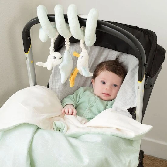 Spirale D'activité Au Large De Nova 2 Spirale D'activité Au Large De Nova – Image 2