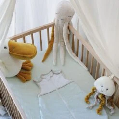 Jelly Musicale Au Large De Nova -Optimal Jouet Magasin 550Wx550H 3701322716484 3