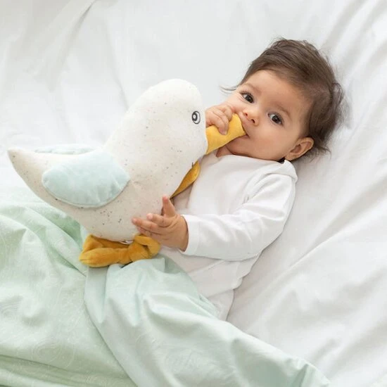 Paulette Musicale Au Large De Nova 2 Paulette Musicale Au Large De Nova – Image 2