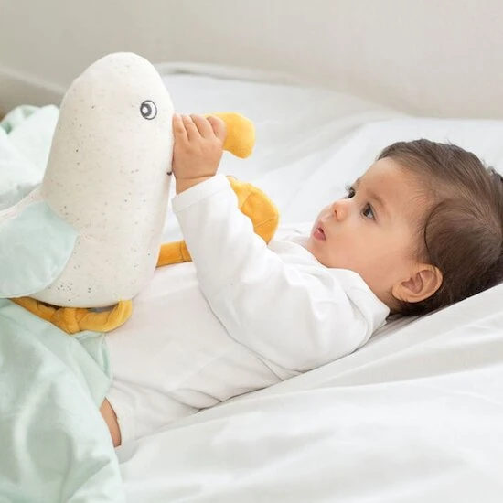 Paulette Musicale Au Large De Nova 3 Paulette Musicale Au Large De Nova – Image 3