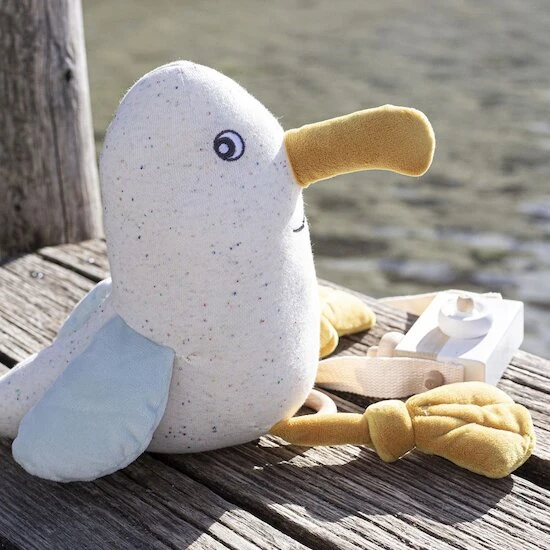 Paulette Musicale Au Large De Nova 5 Paulette Musicale Au Large De Nova – Image 5