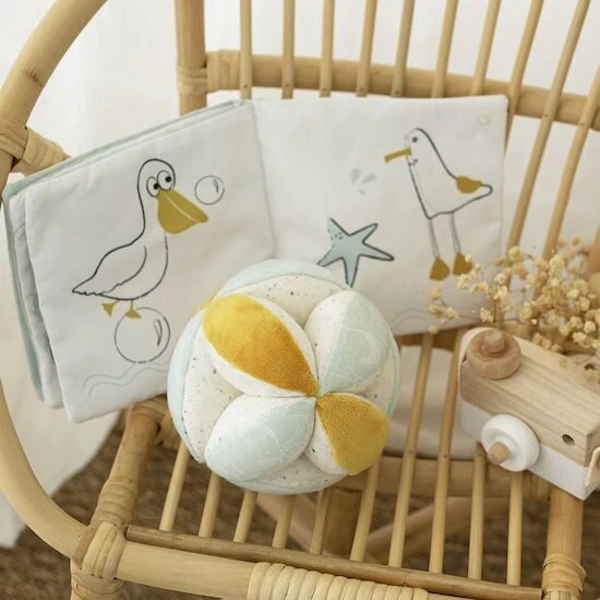 Balle D'activité Au Large De Nova 3 Balle D'activité Au Large De Nova – Image 3