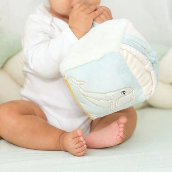 Cube D'eveil Au Large De Nova 2 Cube D'eveil Au Large De Nova – Image 2