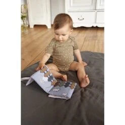 LÄSSIG Livre D´éveil En Tissu Tiny Farmer -Optimal Jouet Magasin 550Wx550H 4042183420646 9