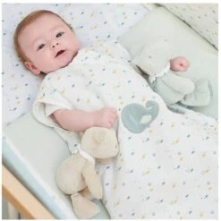 NATTOU Peluche Ours Jules Roméo Et Jules -Optimal Jouet Magasin 550Wx550H 5414673950008 3