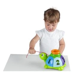 CHICCO Tortue à Balles -Optimal Jouet Magasin 8058664138876 8058664138876 4BaseMedia 550Wx550H