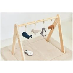 Jollein Arche D'éveil Bois 10 Jollein Arche D'éveil Bois -Optimal Jouet Magasin 8717329364608 8717329364608 5BaseMedia 550Wx550H