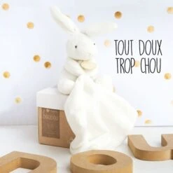 Doudou Avec Mouchoir Boîte Lapin -Optimal Jouet Magasin doudouetcielapinmouchoirenboitefleurnocolor 3561860003039 5BaseMedia 550Wx550H