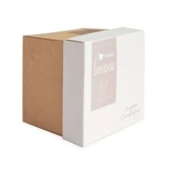 Doudou Avec Mouchoir Boîte Lapin -Optimal Jouet Magasin doudouetcielapinmouchoirenboitefleurnocolor 3561860003039 7BaseMedia 550Wx550H